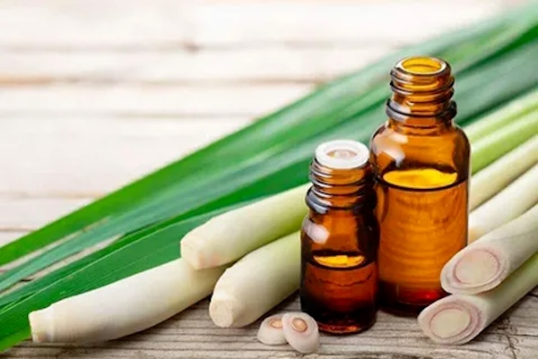 Tinh dầu là yếu tố quan trọng để làm nên hương thơm của nến Tinh dầu là yếu tố quan trọng để làm nên hương thơm của nến